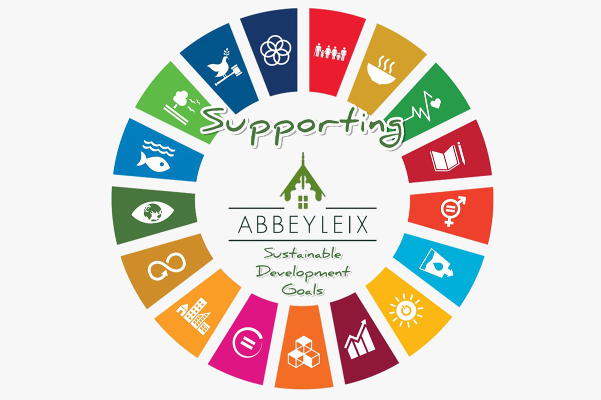 Abbeyleix Community
