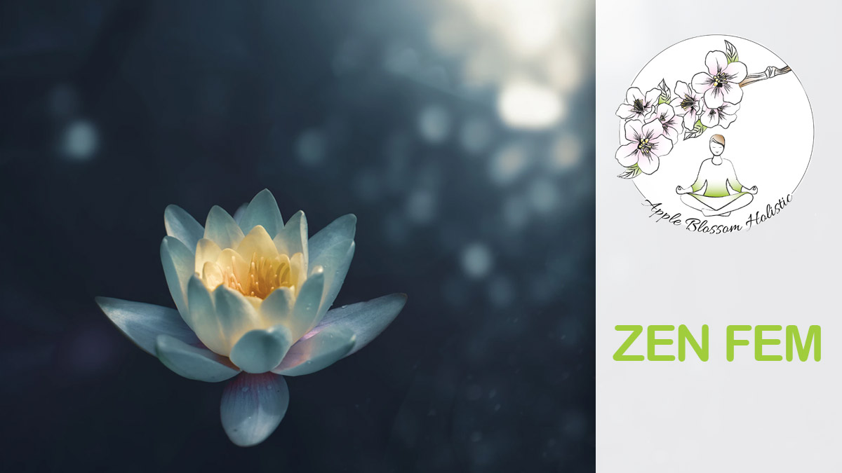 ZEN FEM